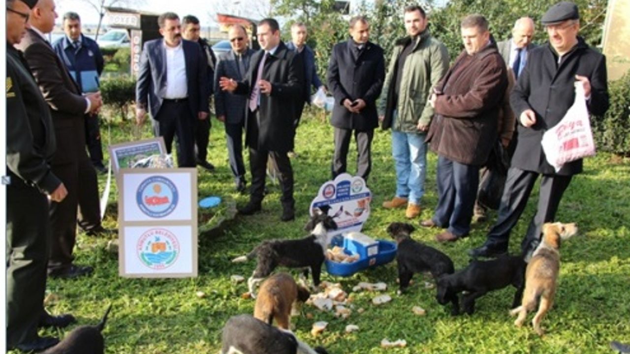 Yalova Armutlu’da sokak hayvanları unutulmadı