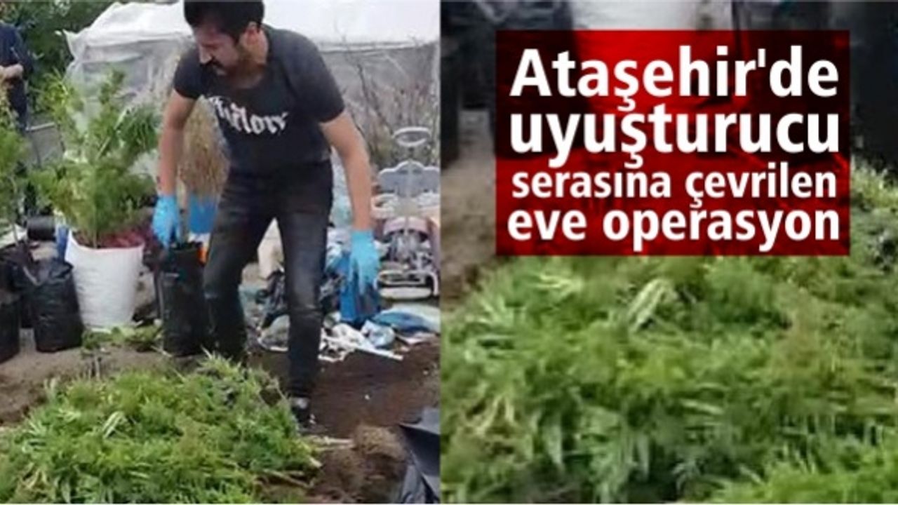 Ataşehir'de uyuşturucu serasına çevrilen eve operasyon
