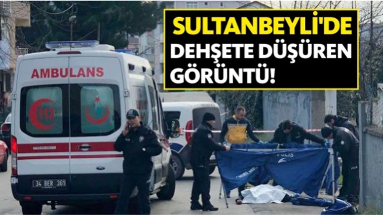 Sultanbeyli'de dehşete düşüren görüntü!