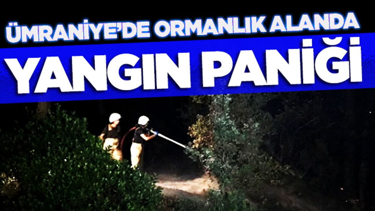 Ümraniye'de ormanlık alanda yangın paniği