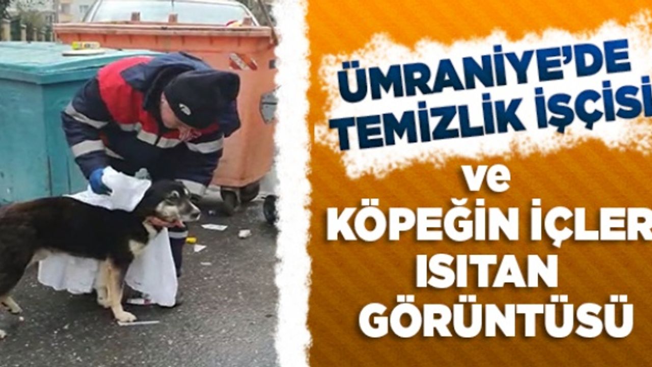 Ümraniye'de temizlik işçisi ve köpeğin içleri ısıtan görüntüsü
