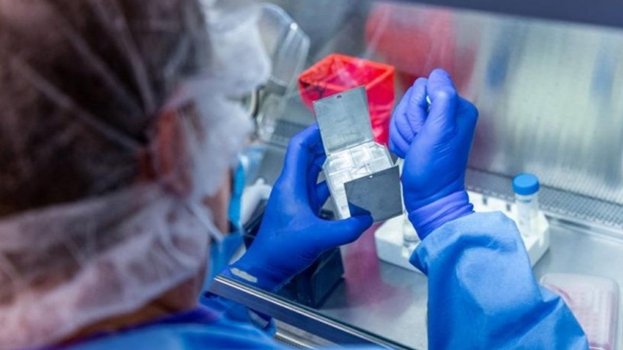 Son dakika… Ankara Üniversitesi açıkladı: SARS-COV-2 virüsü izole edildi!