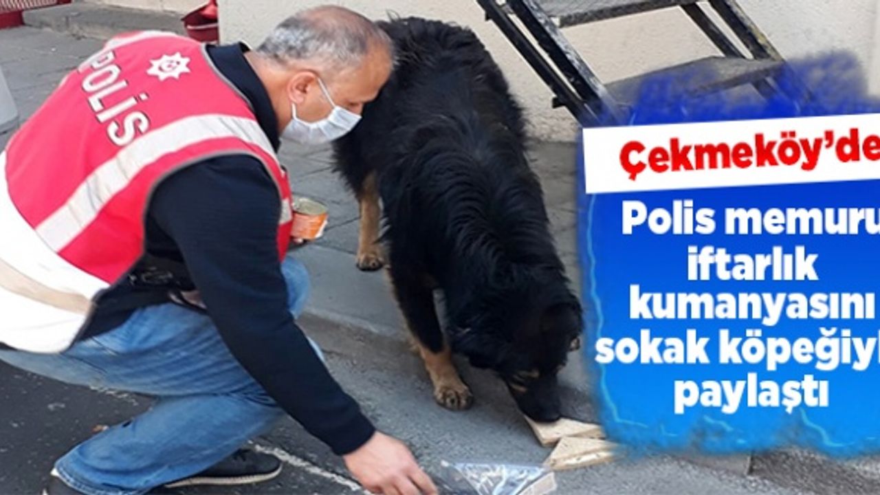 Çekmeköy'de Polis memuru, iftarlık kumanyasını sokak köpeğiyle paylaştı