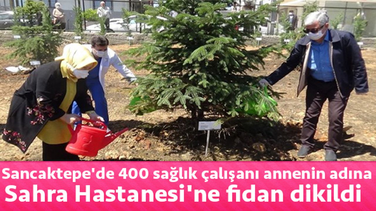 Sancaktepede 400 sağlık çalışanı annenin adına Sahra Hastanesine fidan dikildi