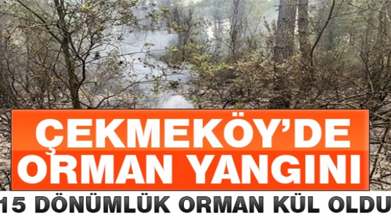 Çekmeköy'de 15 dönümlük orman kül oldu