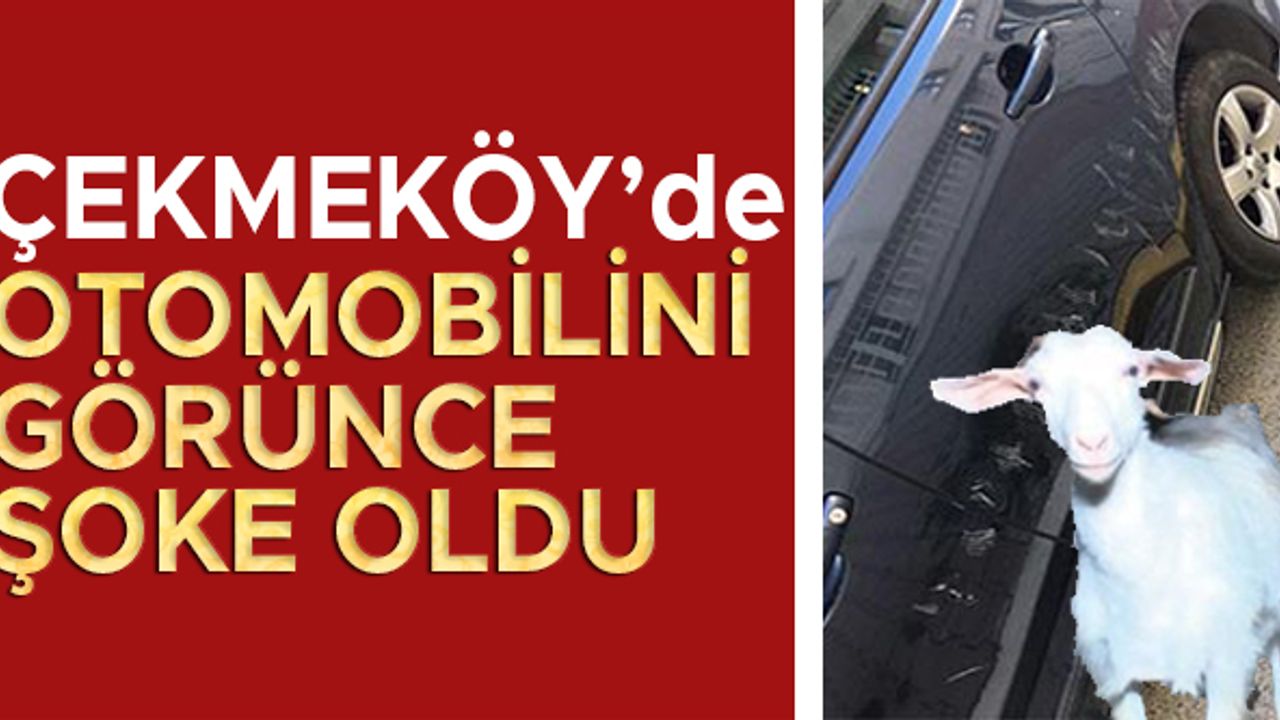 Çekmeköy'de otomobilini görünce şoke oldu