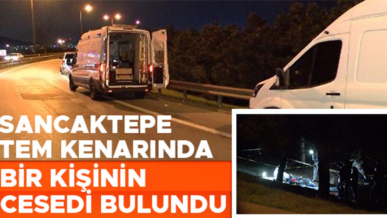 Sancaktepe TEM kenarında bir kişi öldürülmüş halde bulundu