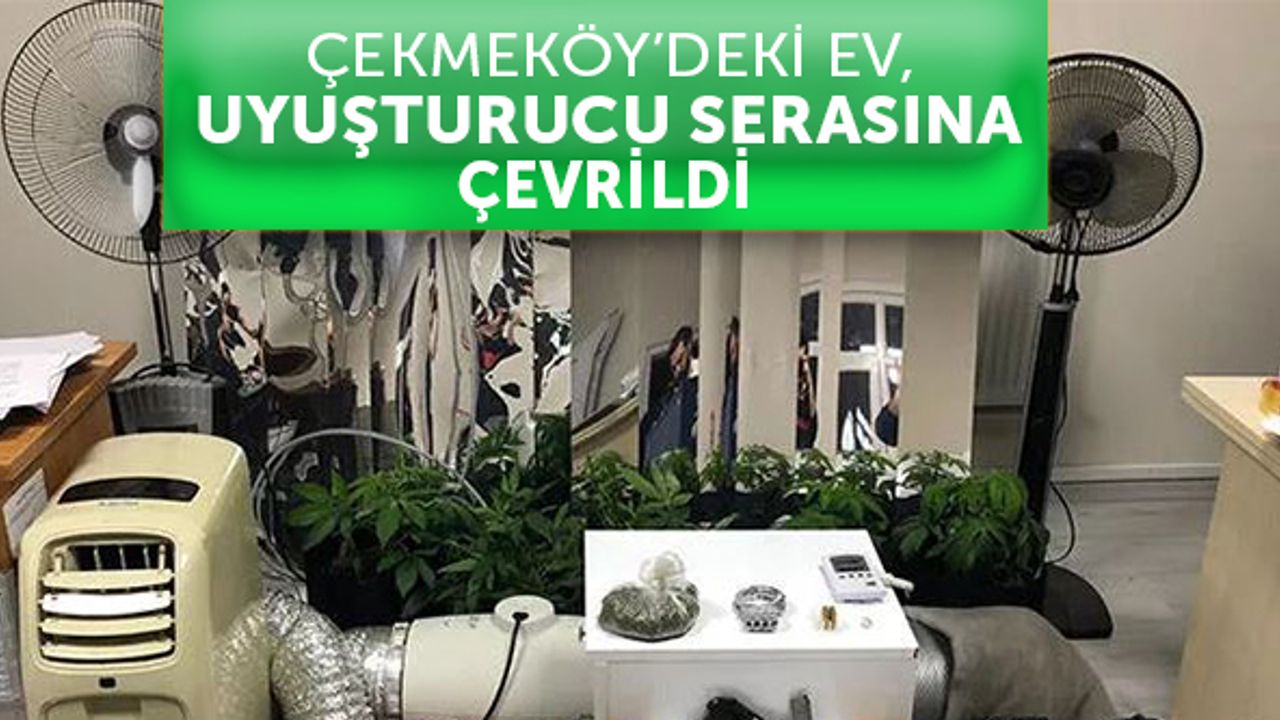 Çekmeköy'de uyuşturucu serasına dönüştürülen eve operasyon
