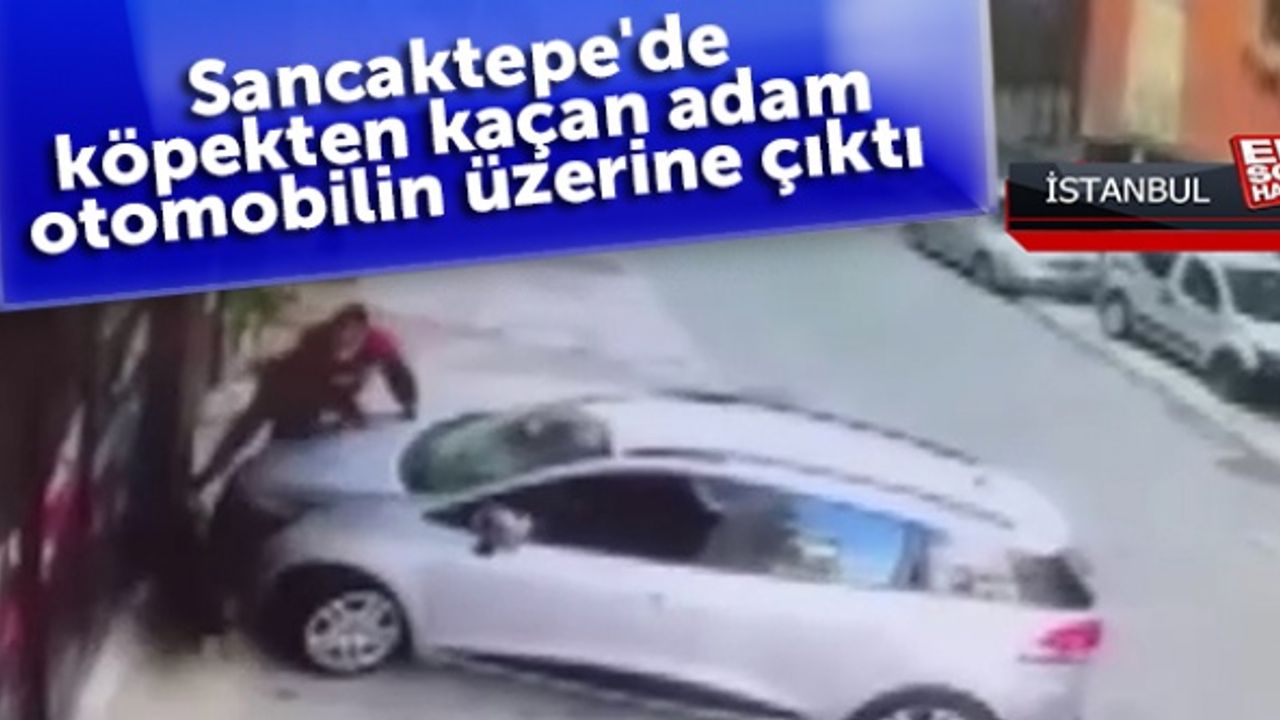 Sancaktepe'de köpekten kaçan adam otomobilin üzerine çıktı