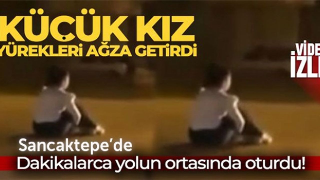 Sancaktepe'de yürekleri ağza getiren görüntü: Dakikalarca yolun ortasında oturdu