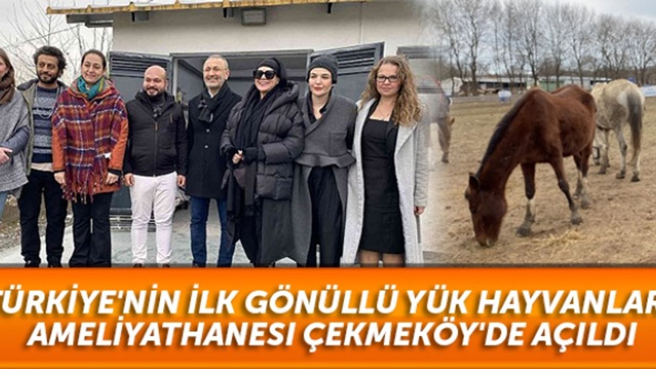 Türkiye'nin ilk gönüllü yük hayvanları ameliyathanesi Çekmeköy'de açıldı
