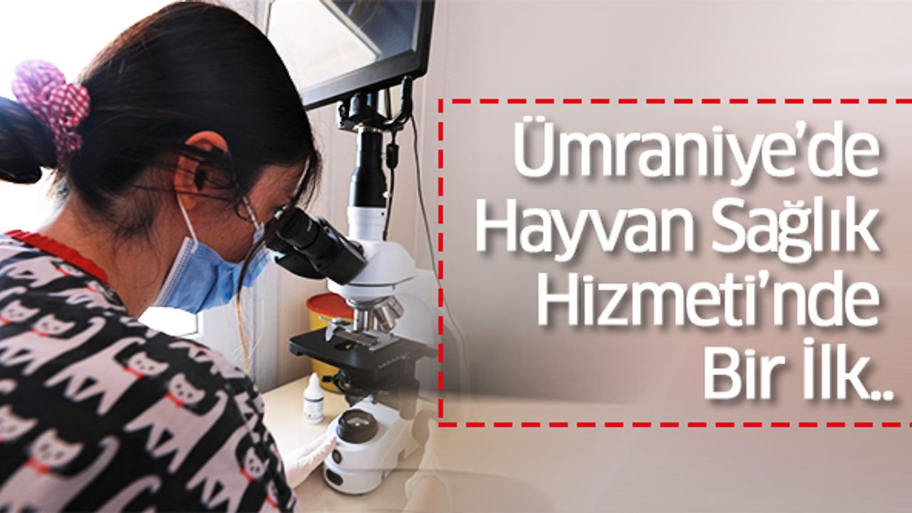 Ümraniye’de Hayvan Sağlık Hizmeti’nde Bir İlk..