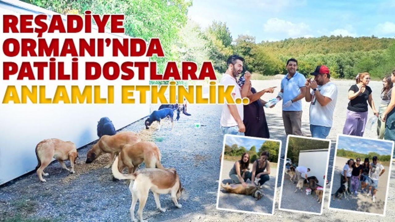 Reşadiye Ormanı’nda patili dostlara anlamlı etkinlik..