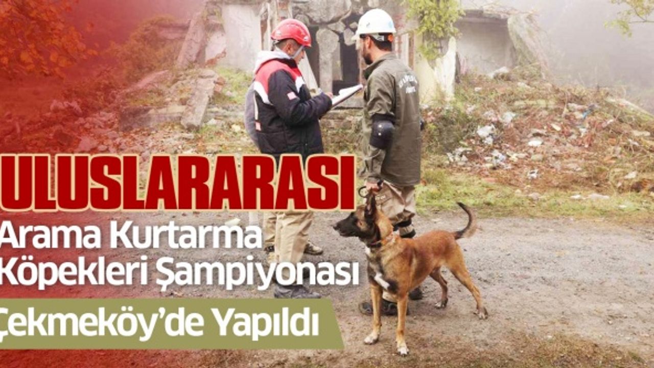 Uluslararası ’Arama Kurtarma Köpekleri Şampiyonası’ Çekmeköy’de yapıldı