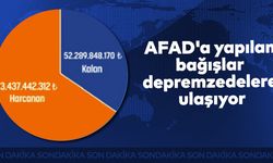 AFAD'a yapılan bağışlar depremzedelere ulaşıyor
