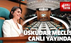 Üsküdarlı, meclis toplantılarını her yerden izleyebilecek..