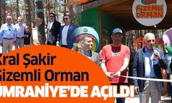 Kral Şakir Gizemli Orman Ümraniye'de Açıldı !