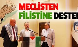 Meclisten Filistin'e Destek