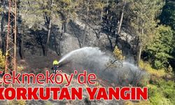 Çekmeköy'de ormanlık alanda yangın !