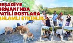 Reşadiye Ormanı’nda patili dostlara anlamlı etkinlik..