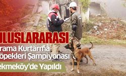 Uluslararası ’Arama Kurtarma Köpekleri Şampiyonası’ Çekmeköy’de yapıldı