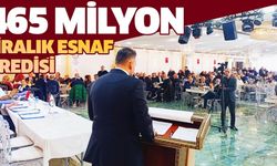 465 Milyon Liralık Esnaf Kredisi