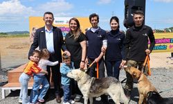 PATİLİ DOSTLARA YENİ YUVA UMUDU