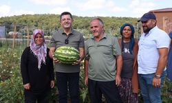 ÇEKMEKÖY’DE TARLADAN SOFRALARA SOSYAL BELEDİYECİLİK