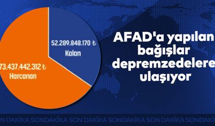 AFAD'a yapılan bağışlar depremzedelere ulaşıyor