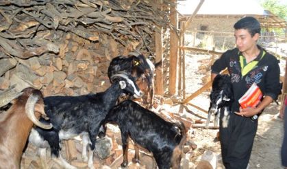Adanalı Çobanın TEOG Zaferi! Dağda Keçi Otlatırken Fen Lisesini Kazandı