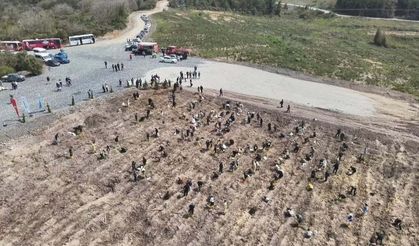 Milli Eğitim Akademisi Hatıra Ormanı Fidanlarla Büyüyor!