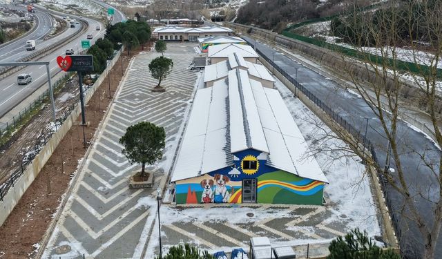 Sancaktepe Hayvan Rehabilitasyon Merkezi Kullanıma Hazır
