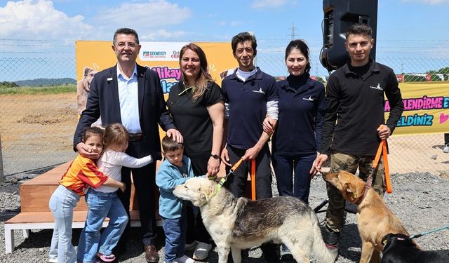 PATİLİ DOSTLARA YENİ YUVA UMUDU