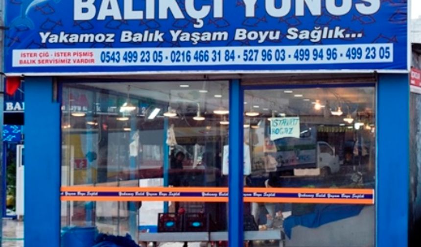 Yakamoz Balıkçısı Balıkçı Yunus