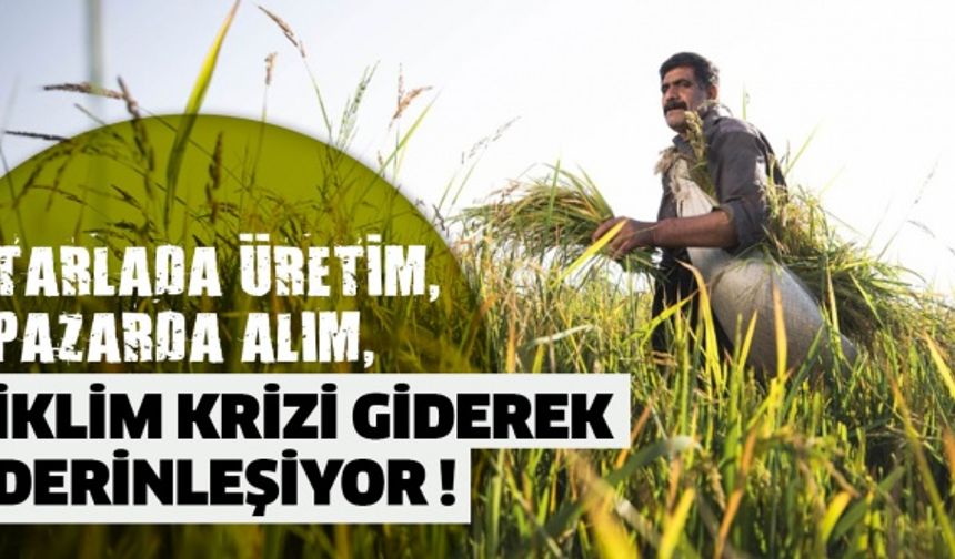 Tarlada Üretim, Pazarda Alım , iklim krizi giderek derinleşiyor !