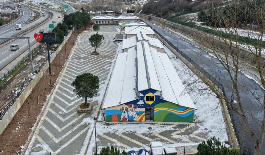 Sancaktepe Hayvan Rehabilitasyon Merkezi Kullanıma Hazır